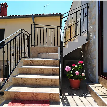 Apartman Cvita Bibinje