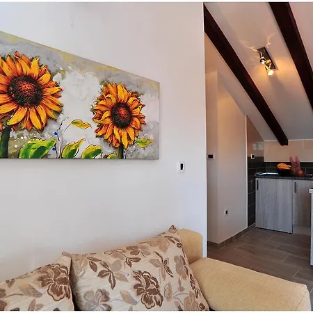 Apartman Cvita *