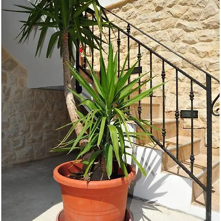 Apartment Cvita